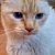 Userphoto - Get ranking